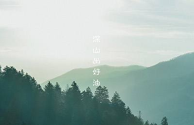 食用油vi設(shè)計(jì) 