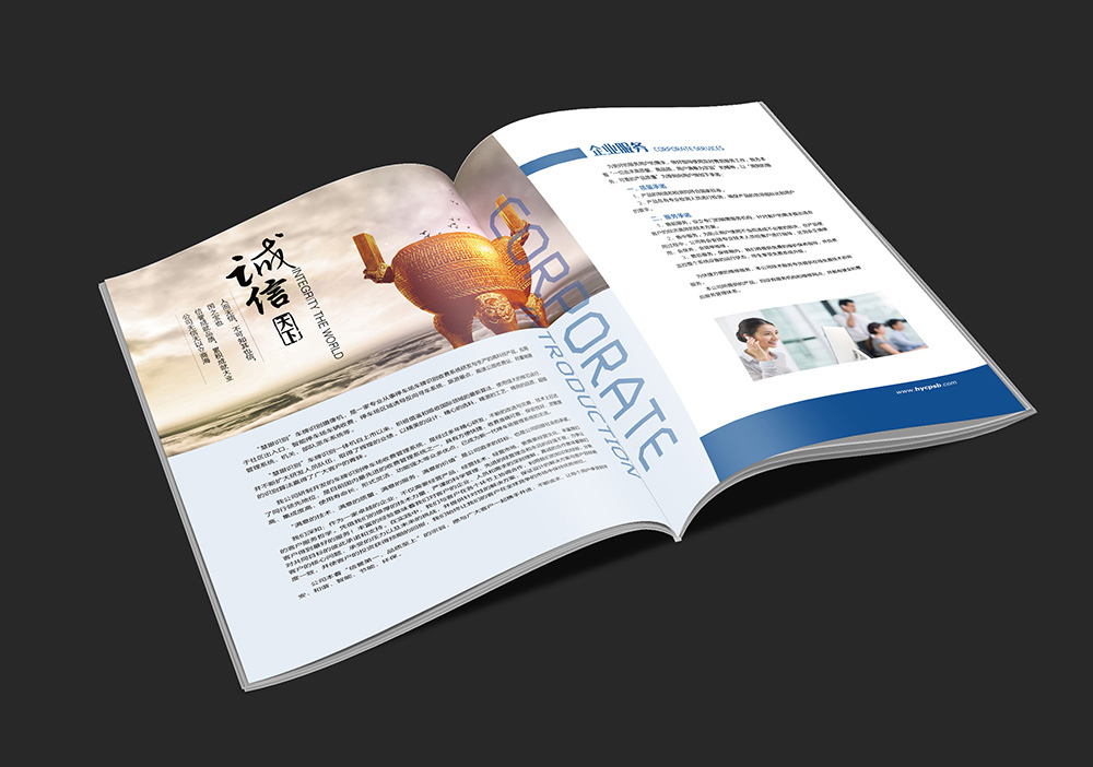 企業(yè)產(chǎn)品畫冊(cè)設(shè)計(jì)