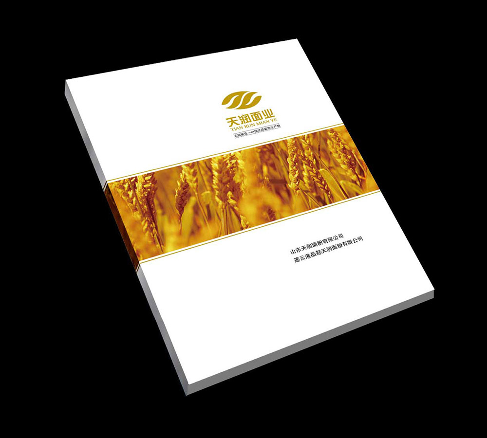 畫冊(cè)設(shè)計(jì)公司